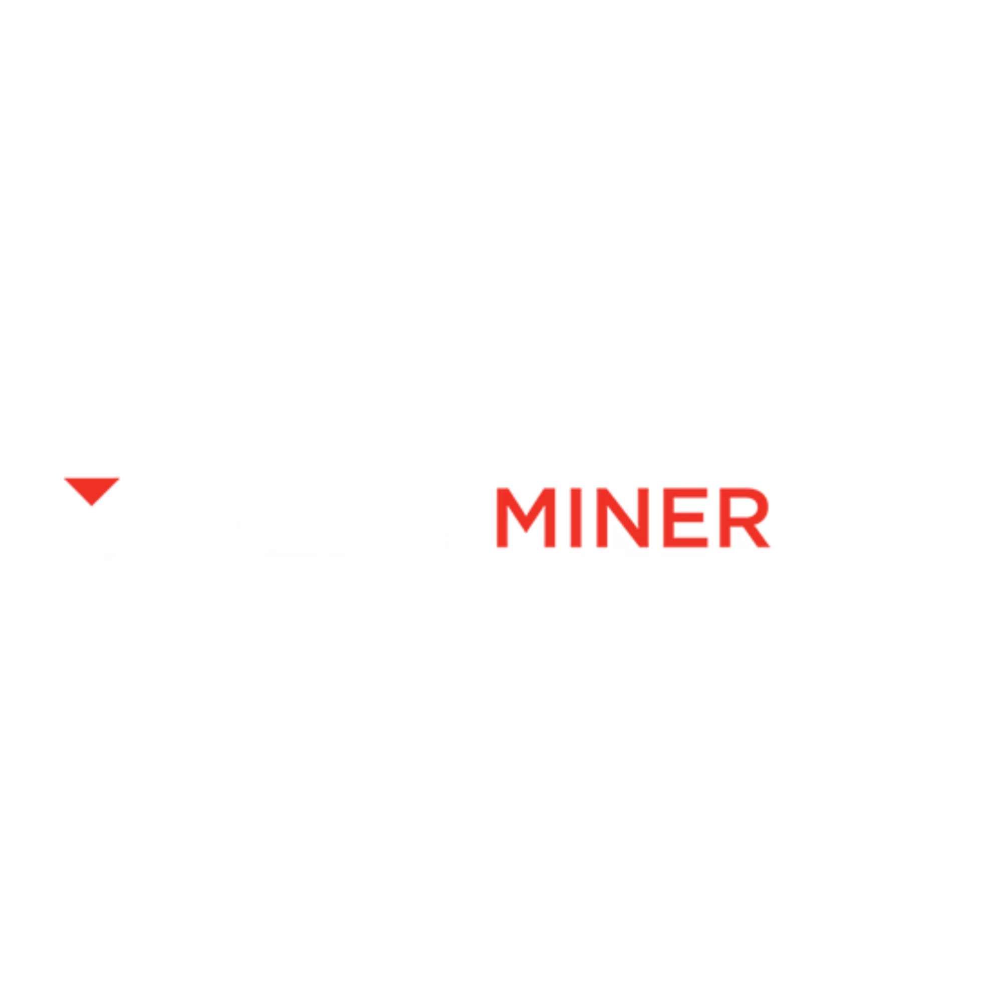 Vision Miner